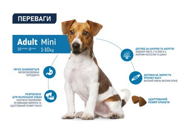 картинка Advance Dog Mini Adult для дорослих собак маленьких порід з куркою та рисом
