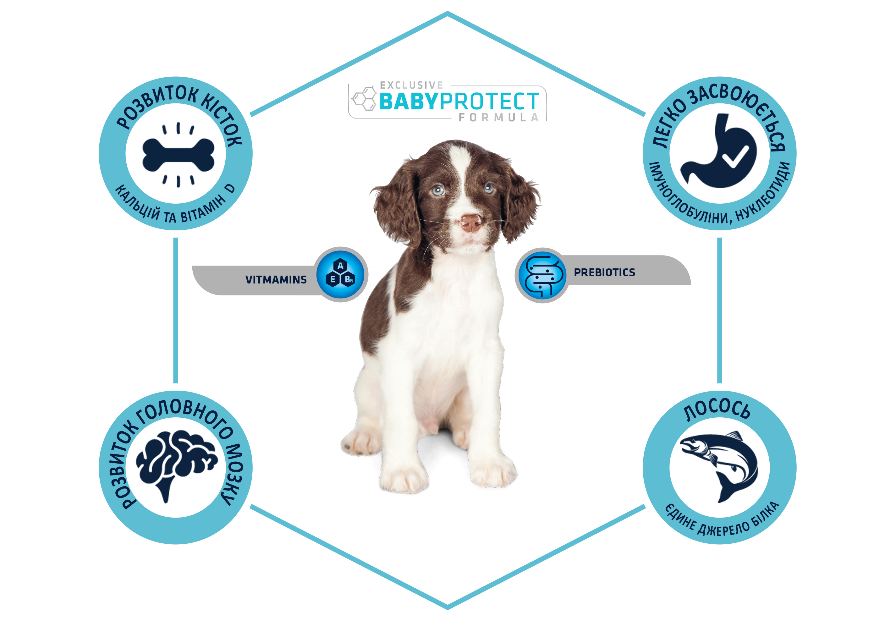 картинка Advance Dog Puppy Sensitive для цуценят усіх порід з чутливим травленням з лососем і рисом