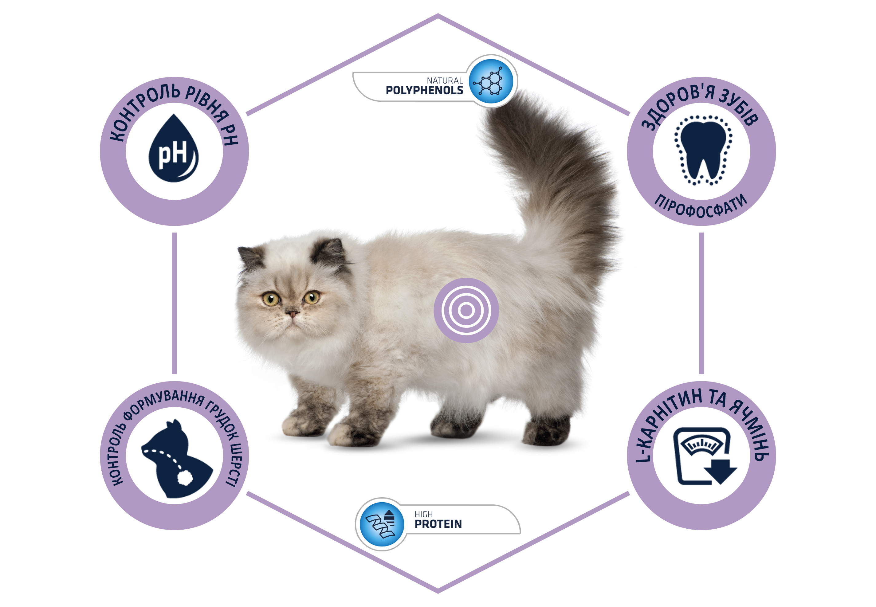 картинка Advance Cat Sterilized Hairball для виведення шерсті у стерилізованих котів з індичкою