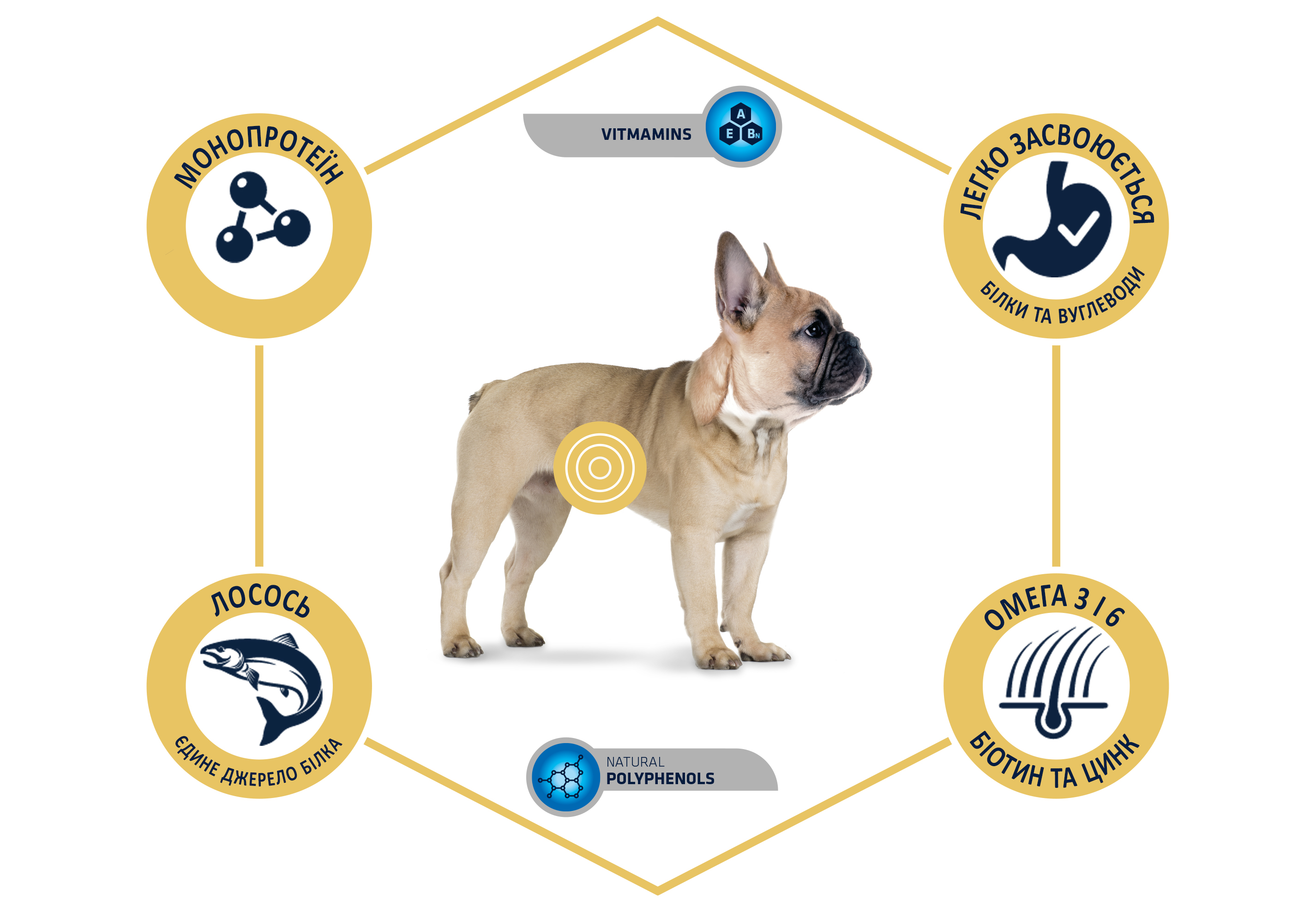картинка Advance Dog Mini Sensitive для собак малих порід з чутливим травленням з лососем і рисом